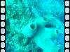 109 - Dive3-4 Half Moon Wall