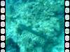 114 - Dive4-4 Que Bradas