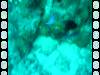 117 - Dive4-4 Que Bradas