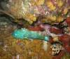 102 - Dive4-5N Que Bradas