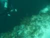 102 - Dive4-1 Blue Hole