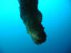 111 - Dive4-1 Blue Hole