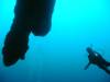 118 - Dive4-1 Blue Hole