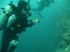 124 - Dive4-1 Blue Hole