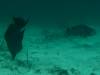 151 - Dive4-1 Blue Hole