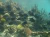 158 - Dive4-1 Blue Hole