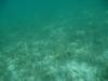 164 - Dive4-1 Blue Hole