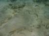 109 - Dive4-2 Blue Hole