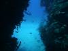 104 - Dive5-3 Tarpon Caves