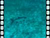 116 - Dive5-3 Tarpon Caves
