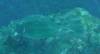 105 - Dive6-2 Long Cay Wall