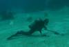 117 - Dive6-2 Sandy Slopes