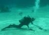 118 - Dive6-2 Sandy Slopes