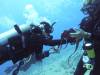 Dive3-3-130 201009 Maui Dive3-3
