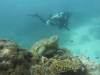 Dive4-3 Pams Point-134 Dive4-3 Pams Point