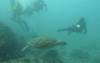 108 - Dive2-3 Gorgons Hole