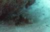 108 - Dive4-1 3 Rocks