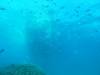 126 - Dive4-1 3 Rocks