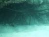 112 - Dive5-3 Coral Cascades