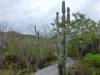 105 - Day8-Hike1-San Cristobal Interpretation Center