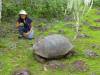 124 - Day8-Hike2-San Cristobal Tortoise Habitat