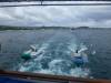113 - Galapagos Aggressor II Boat