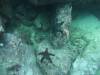 101 - Dive2-1 Punta Carrion