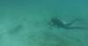 110 - Dive2-1 Punta Carrion