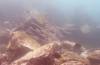 122 - Dive2-2 Punta Carrion