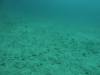 110 - Dive5-4-Wolf-Ancorage