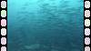 149 - Dive6-1 Roca Redondo