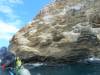 102 - Dive6-2 Punta Vicente Roca