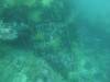 106 - Dive6-2 Punta Vicente Roca