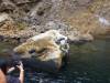 116 - Dive6-4 Panga Ride