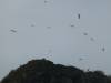 118 - Galapagos Aggressor Islands