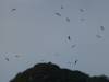 119 - Galapagos Aggressor Islands