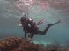 106 - Dive1-2 Ned's Beach