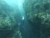100 - Dive4-1 Ruppert's Reef