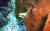 111 - Dive4-3 Twin Caves