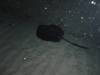 102 - Dive5-2 Boulder City