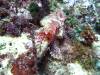 109 - Dive5-2 Boulder City