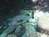 112 - Dive5-2 Boulder City