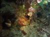 108 - Dive3-4 Pearl Farm Jetty