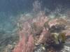 104 - Dive4-2 The Arch