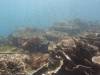 144 - Dive4-2 The Arch