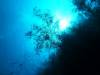 117 - Dive5-2 Candy Store