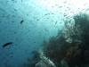 146 - Dive5-2 Candy Store