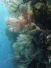 148 - Dive5-2 Candy Store