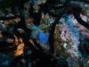 106 - Dive5-4 Warna Berwarna