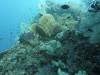 110 - Dive5-4 Warna Berwarna